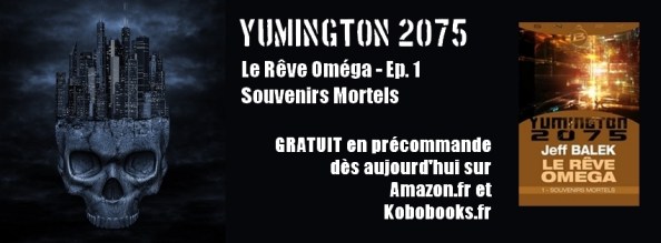 banniere precommande